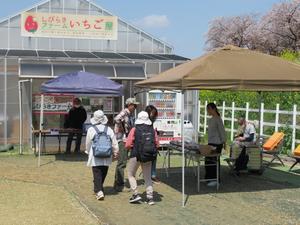 しびらきファーム