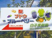 白子果樹園