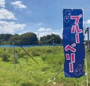 尾島農園