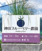 神田ブルーベリー農園
