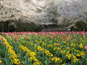 大宮花の丘農林公苑2