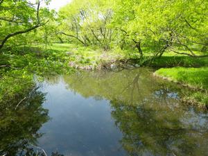 秋葉の森総合公園2