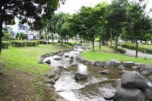 東大宮親水公園2