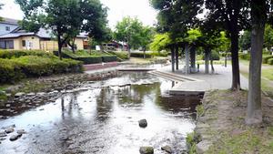 東大宮親水公園3