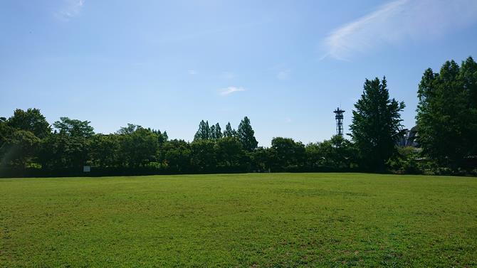 緑の広場