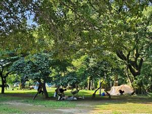 camp