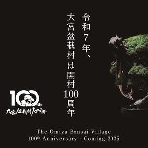 100周年