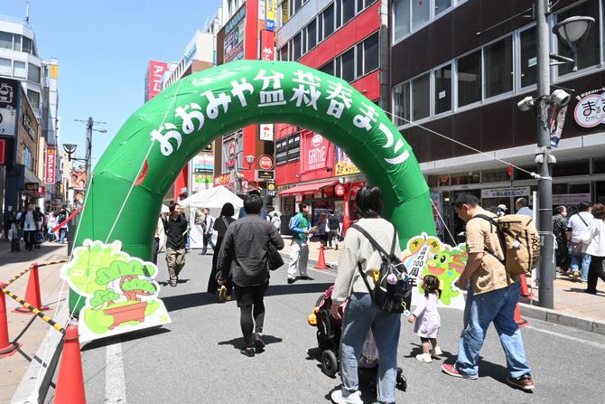 春まつり