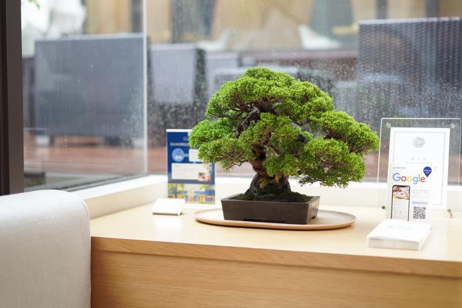 盆栽展示
