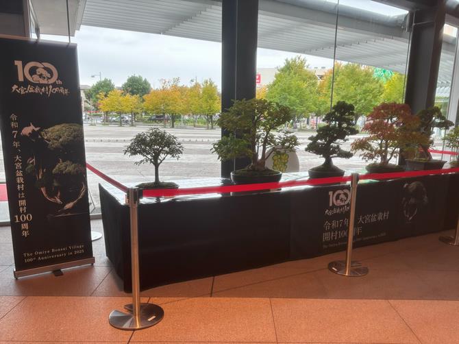北区盆栽展示