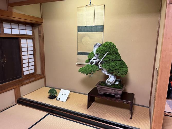 盆栽四季の家和室