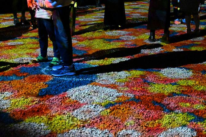 インタラクティブコンテンツ