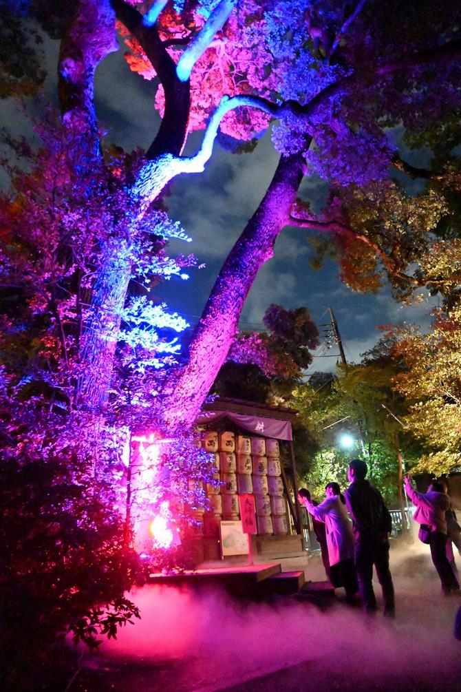 インタラクティブコンテンツ