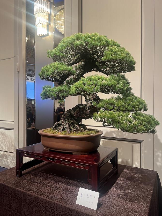 盆栽（清香園）