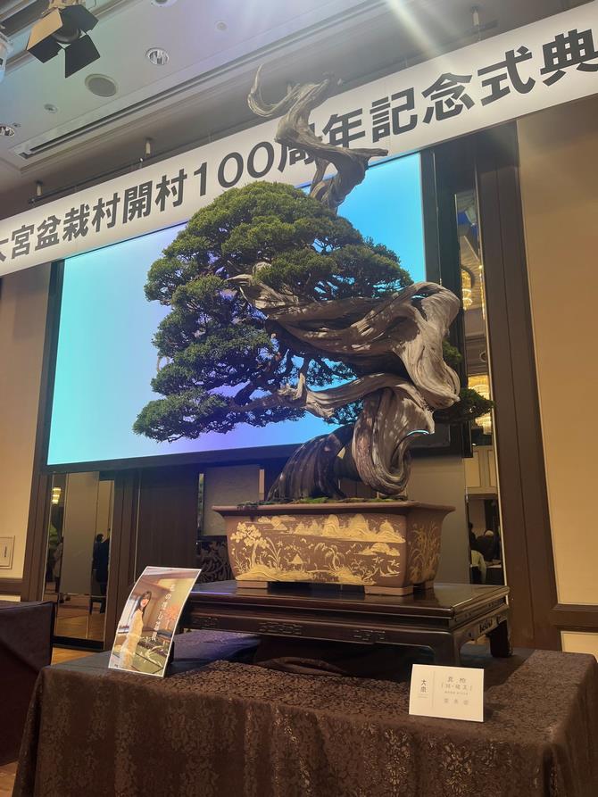 盆栽（蔓青園）