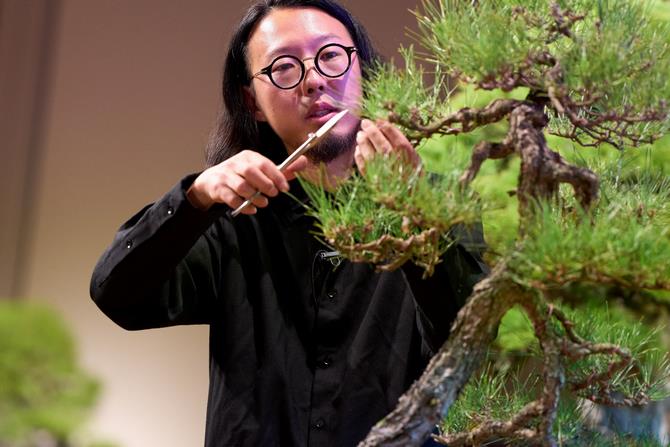 デモンストレーション