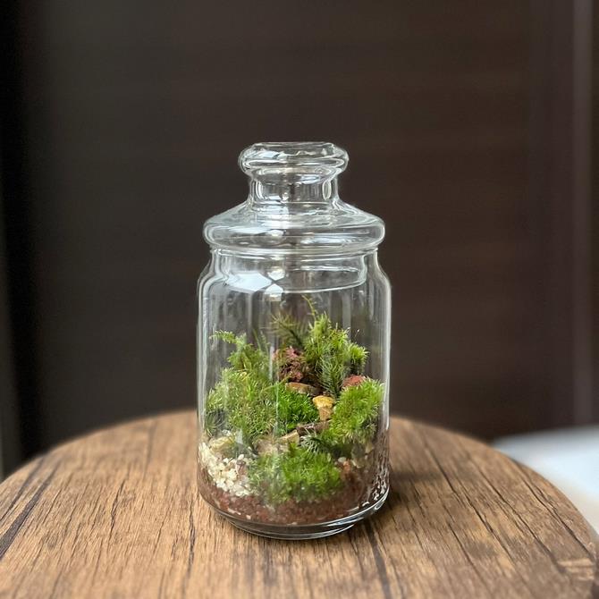 ワークショップ