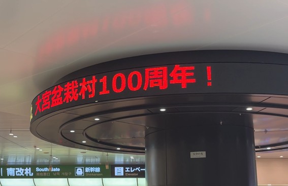 円柱ディスプレイ