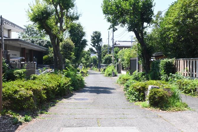 大宮盆栽村風景