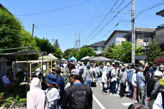 大盆栽まつり