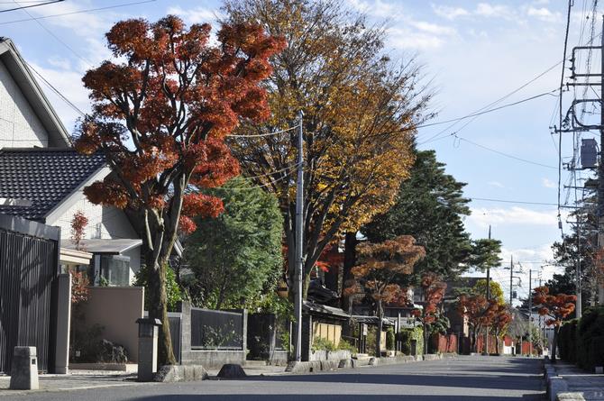 大宮盆栽村の街並み