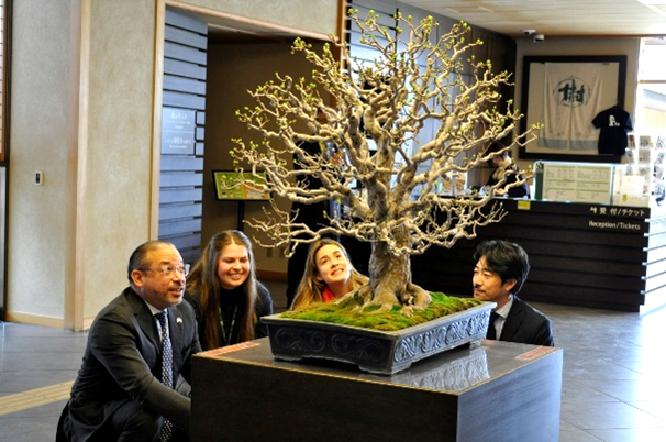 美術館視察様子