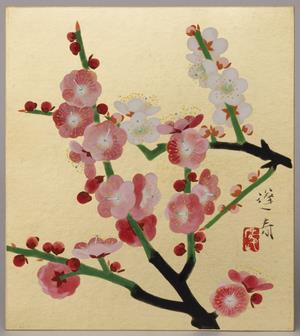 山口蓬春《紅白梅》
