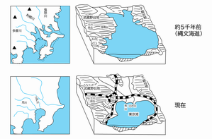 関東平野の変遷2
