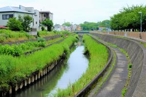 高沼排水路