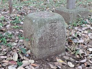 大宮公園内の一等水準点
