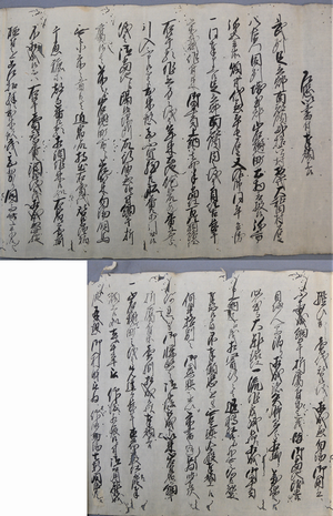 岩槻町長芋売場願