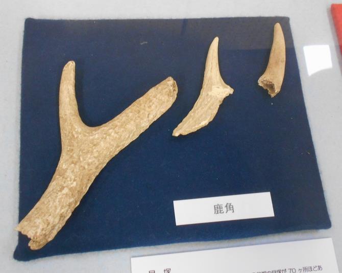 さいたま市／「縄文時代のさいたま」／岩槻郷土資料館