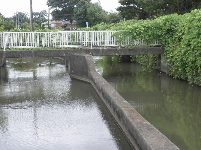 東西分流