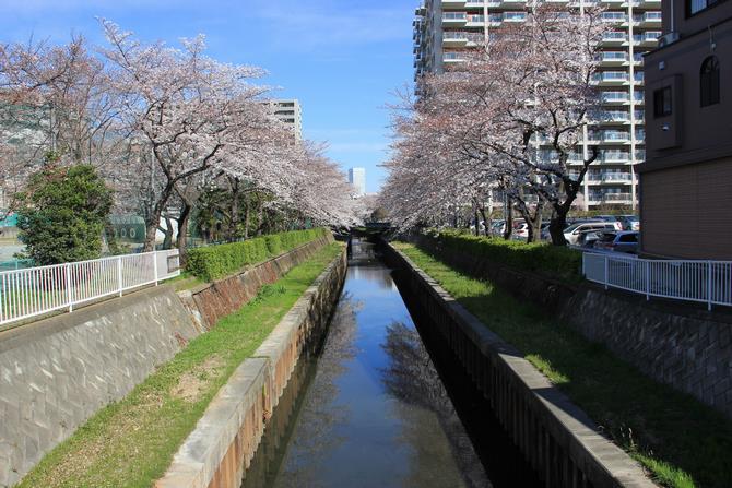 鴻沼川