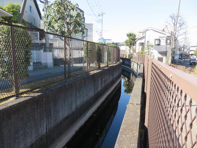 高沼用水路（取水後すぐ））