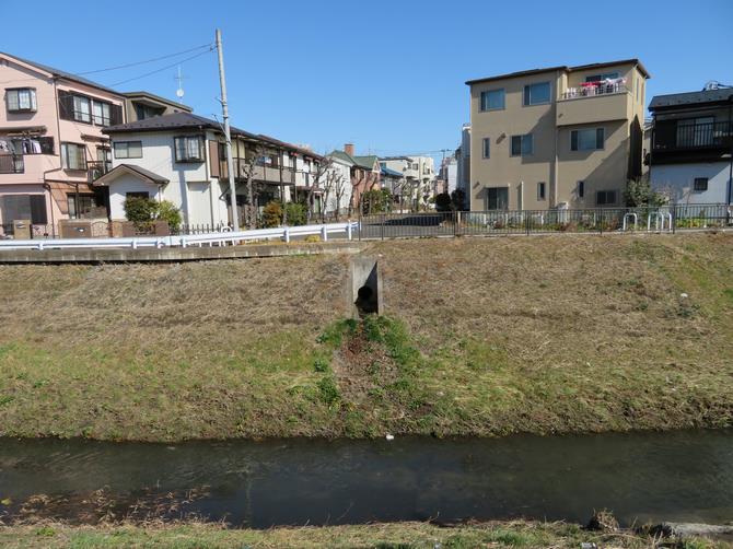 西縁と鴻沼川合流