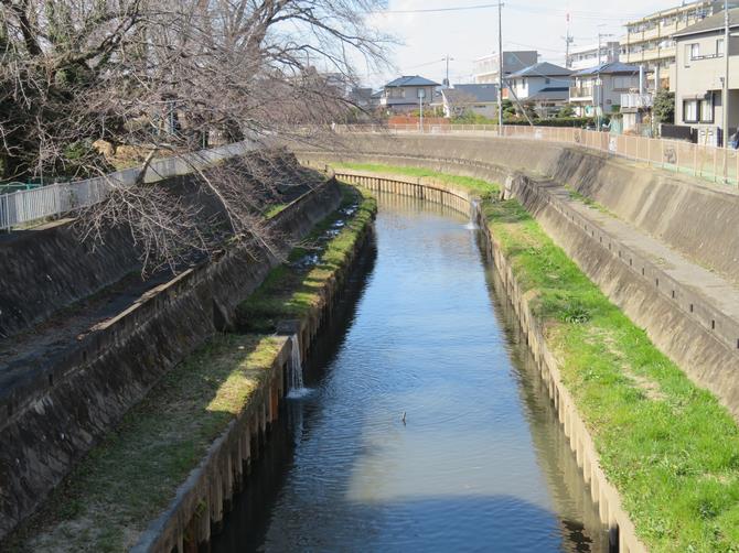 鴻沼川との合流