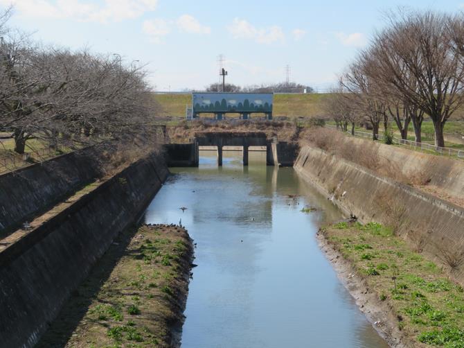 鴨川合流