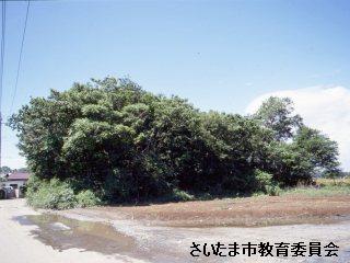 方墳大塚古墳の写真