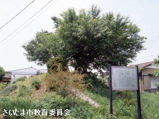 かね山古墳の写真