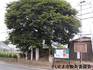 膝子一里塚の写真
