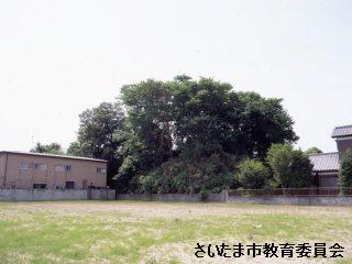 塚山古墳の写真