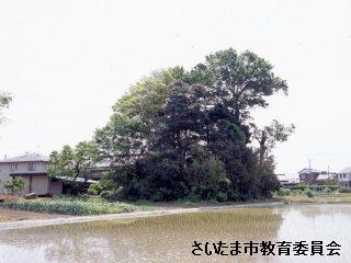 神明寺古墳の写真