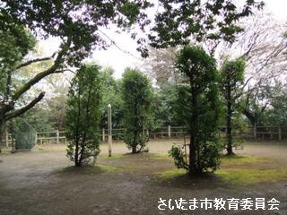 氷川女體神社磐船祭祭祀遺跡の写真