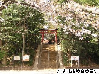 氷川女體神社社叢の写真