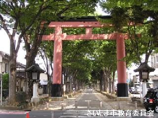 氷川参道の並木の写真