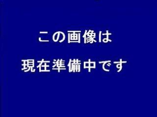 画像準備中の表示
