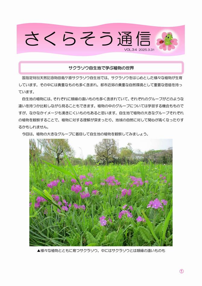 さくらそう通信34号表紙