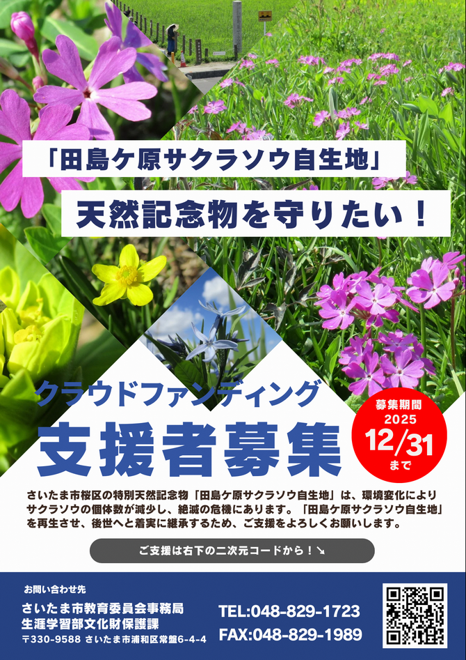 サクラソウCFチラシ