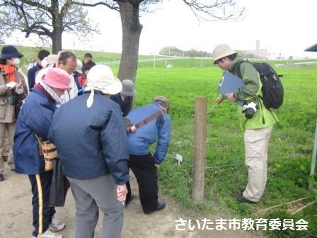 見学会